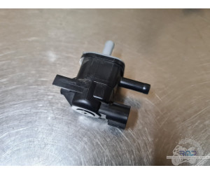 Triumph 900 Tiger Rally Pro 2020 à 2026 