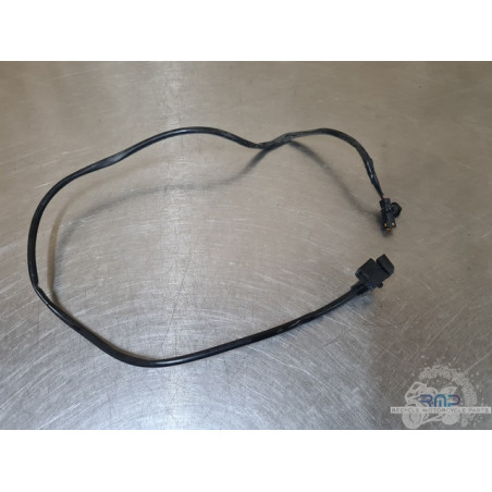 Triumph 900 Tiger Rally Pro 2020 à 2026 