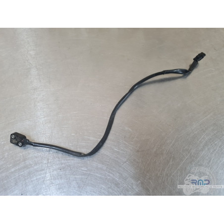 Triumph 900 Tiger Rally Pro 2020 à 2026 