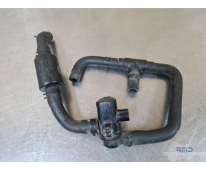 Triumph 900 Tiger Rally Pro 2020 à 2026 