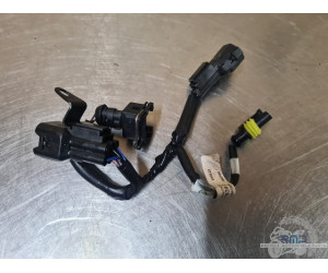 Triumph 900 Tiger Rally Pro 2020 à 2026 