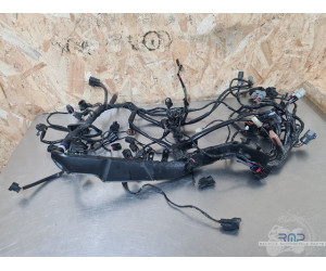 Triumph 900 Tiger Rally Pro 2020 à 2026 