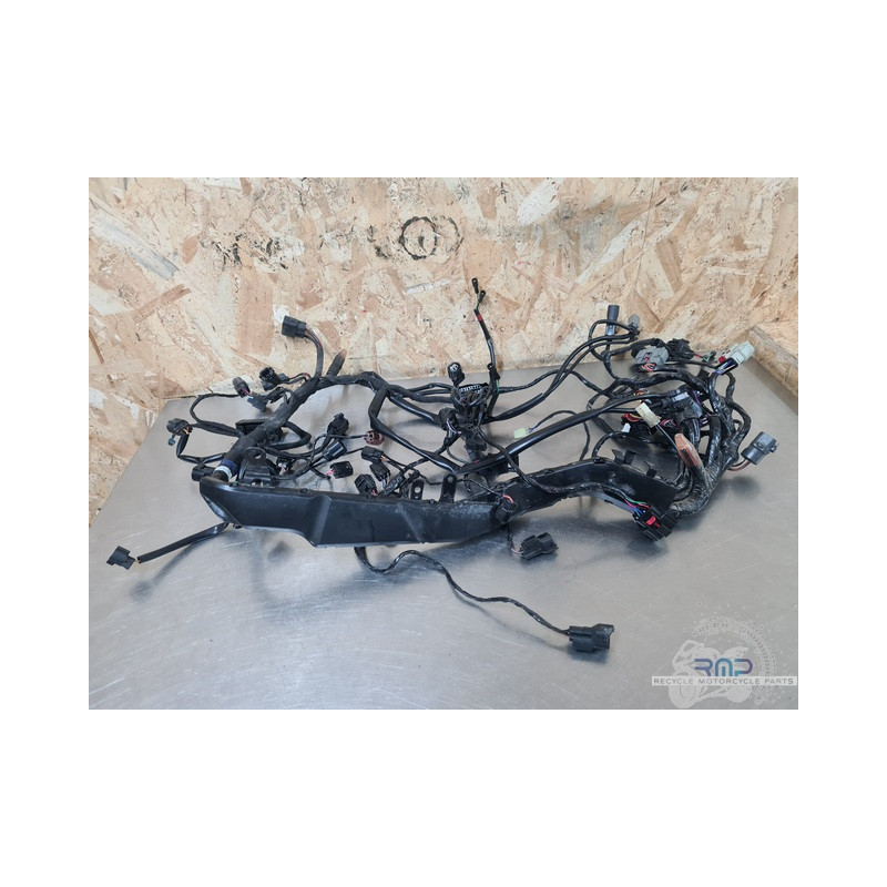 Triumph 900 Tiger Rally Pro 2020 à 2026 