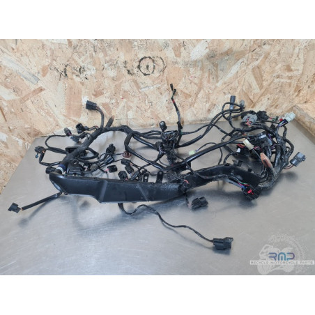 Triumph 900 Tiger Rally Pro 2020 à 2026 