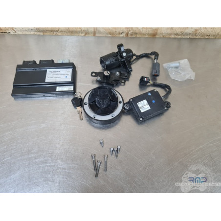 Triumph 900 Tiger Rally Pro 2020 à 2026 