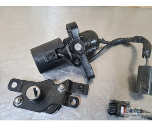 Triumph 900 Tiger Rally Pro 2020 à 2026 