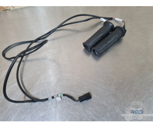 Triumph 900 Tiger Rally Pro 2020 à 2026 