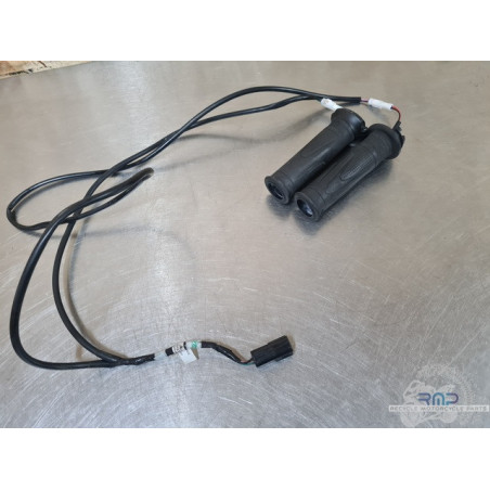 Triumph 900 Tiger Rally Pro 2020 à 2026 