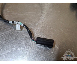 Triumph 900 Tiger Rally Pro 2020 à 2026 