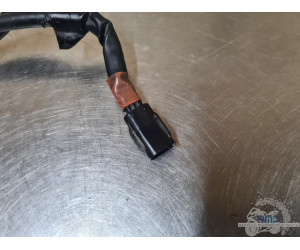 Poignée d'accélérateur - Ride by wire Triumph 900 Tiger Rally Pro 2020 à 2026 