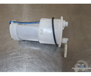 Triumph 900 Tiger Rally Pro 2020 à 2026 