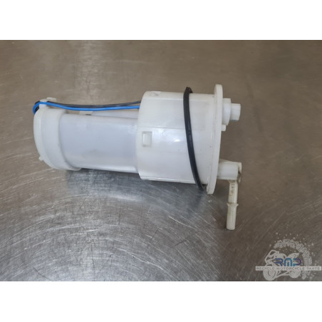 Triumph 900 Tiger Rally Pro 2020 à 2026 