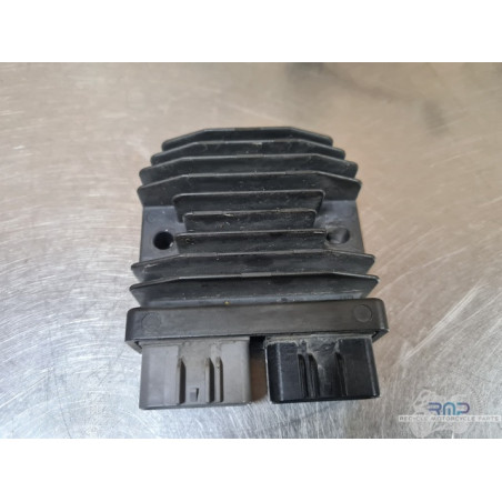 Triumph 900 Tiger Rally Pro 2020 à 2026 