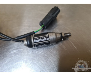 Triumph 900 Tiger Rally Pro 2020 à 2026 