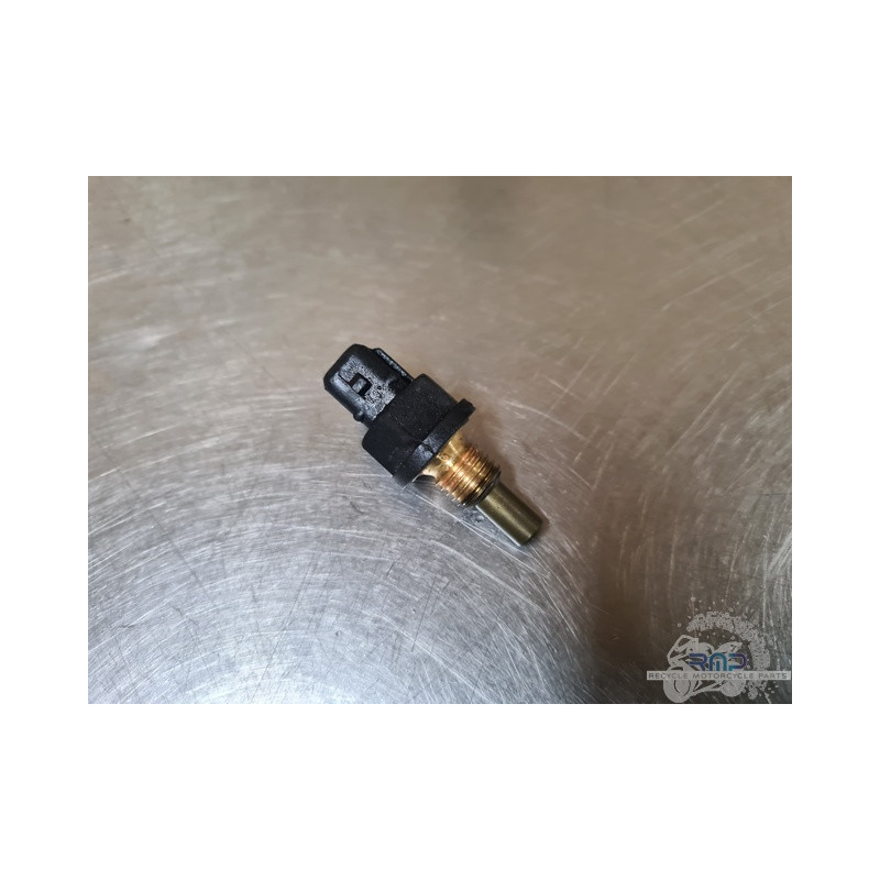 Triumph 900 Tiger Rally Pro 2020 à 2026 