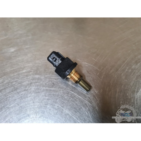 Triumph 900 Tiger Rally Pro 2020 à 2026 