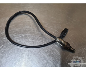 Triumph 900 Tiger Rally Pro 2020 à 2026 