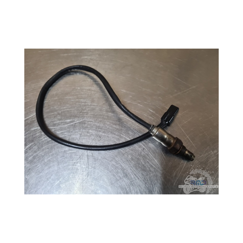 Triumph 900 Tiger Rally Pro 2020 à 2026 