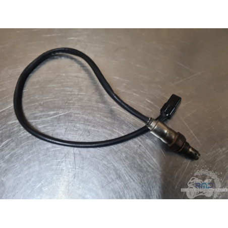 Sonde lambda Triumph 900 Tiger Rally Pro 2020 à 2026 