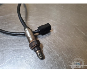 Triumph 900 Tiger Rally Pro 2020 à 2026 