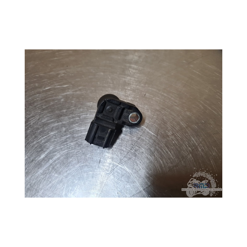 Triumph 900 Tiger Rally Pro 2020 à 2026 