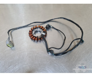 Stator - Alternateur Triumph 900 Tiger Rally Pro 2020 à 2026 