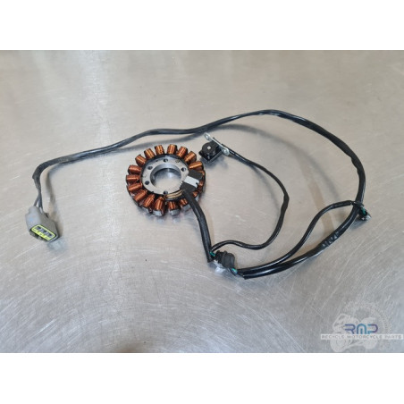 Triumph 900 Tiger Rally Pro 2020 à 2026 