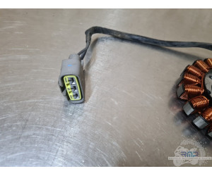 Triumph 900 Tiger Rally Pro 2020 à 2026 