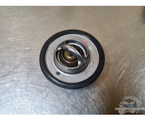 Calorstat Triumph 900 Tiger Rally Pro 2020 à 2026 