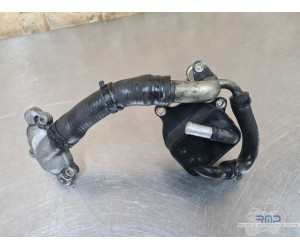 Triumph 900 Tiger Rally Pro 2020 à 2026 