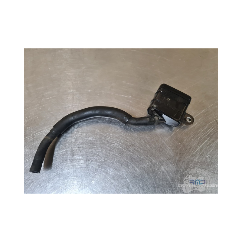 Triumph 900 Tiger Rally Pro 2020 à 2026 