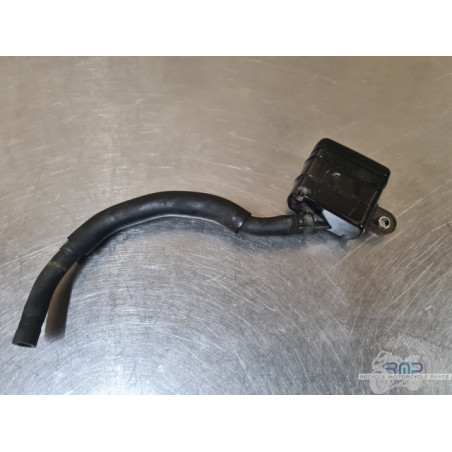 Triumph 900 Tiger Rally Pro 2020 à 2026 