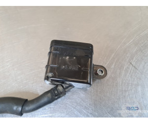 Triumph 900 Tiger Rally Pro 2020 à 2026 