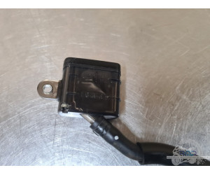 Triumph 900 Tiger Rally Pro 2020 à 2026 