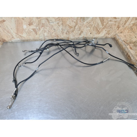 Triumph 900 Tiger Rally Pro 2020 à 2026 