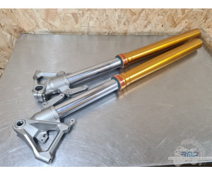 Paire de tube de fourche Triumph 900 Tiger Rally Pro 2020 à 2026 