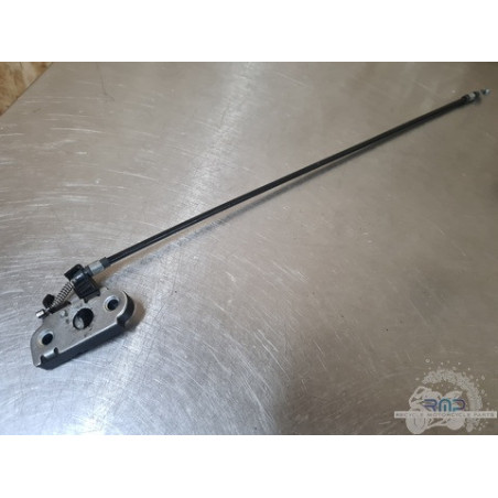 Triumph 900 Tiger Rally Pro 2020 à 2026 