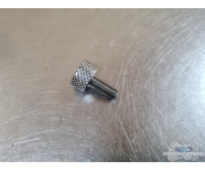 VisdeselleHarleyDavidson YCF 