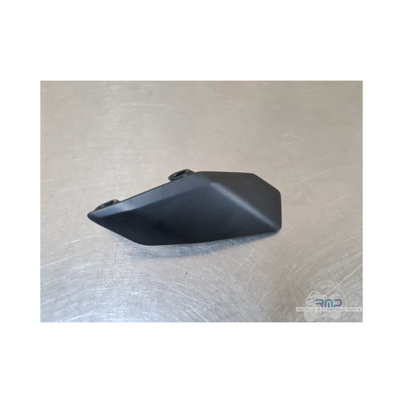 Cacheplastiquegauche2 BMW F900R 2019 à 2026 