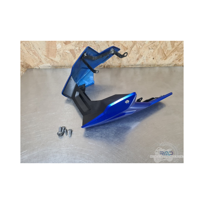 Sabot moteur BMW F900R 2019 à 2026 