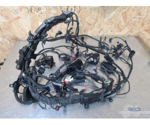 Faisceau électrique principal BMW F900R 2019 à 2026 