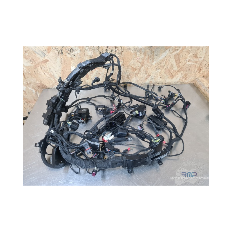 Faisceau électrique principal BMW F900R 2019 à 2026 