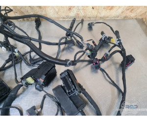 Faisceau électrique principal BMW F900R 2019 à 2026 