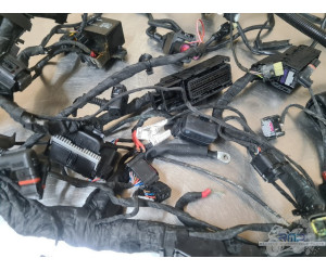 Faisceau électrique principal BMW F900R 2019 à 2026 