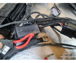 BMW F900R 2019 à 2026 