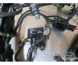 Faisceau électrique principal BMW F900R 2019 à 2026 