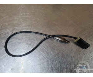 Sonde BMW F900R 2019 à 2026 