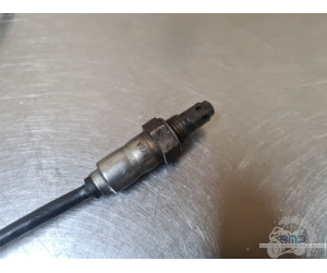 Sonde BMW F900R 2019 à 2026 