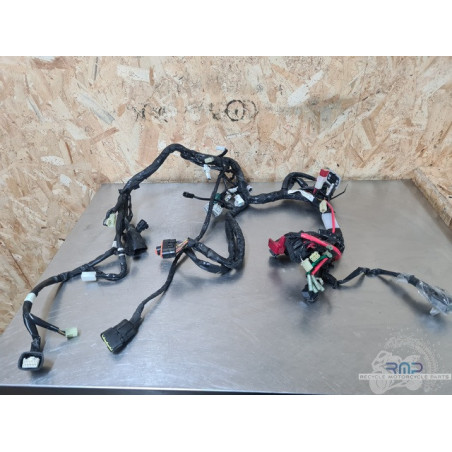 Faisceau électrique principal Yamaha FZ8 2010 à 2016 