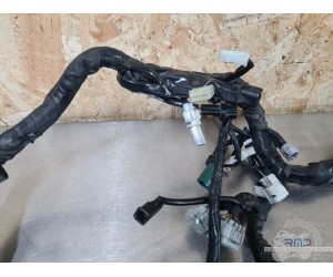 Faisceau électrique principal Yamaha FZ8 2010 à 2016 